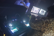 DJHammer/PeterPeet_83